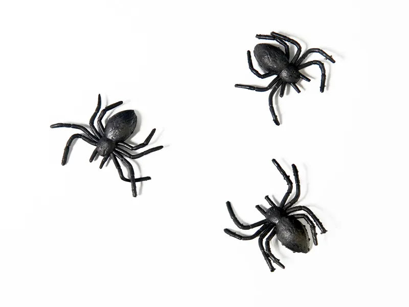 Black Plastic Spider