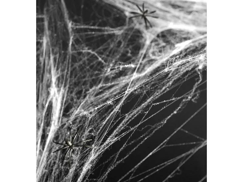 Halloween spider web 60 g