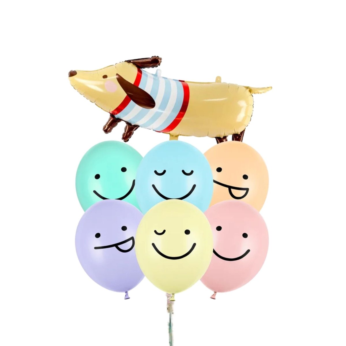 Bouquet de Globos de Perros con Helio – Personalizable - NAROSA SWEET PARTY
