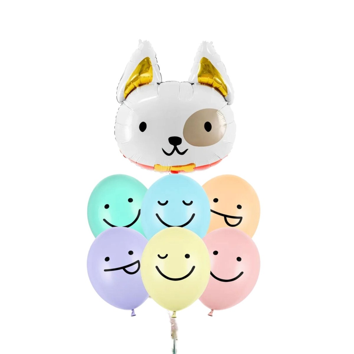 Bouquet de Globos de Perros con Helio – Personalizable - NAROSA SWEET PARTY