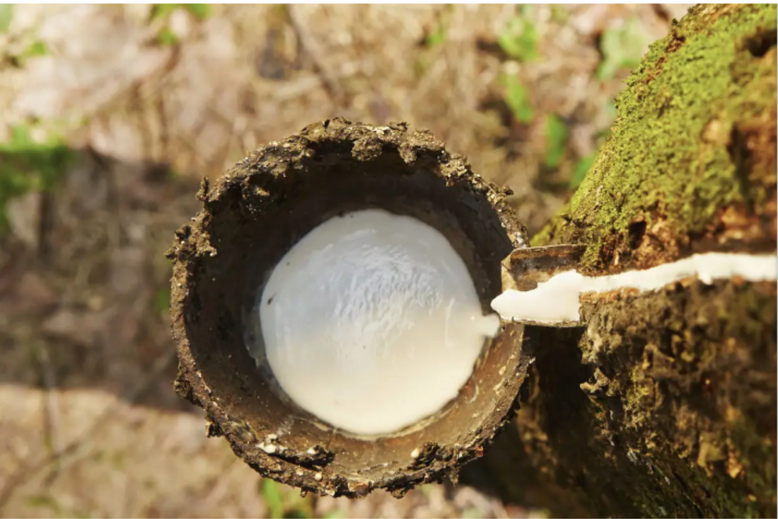 Globos Biodegradables: Una Alternativa Ecológica y Sostenible