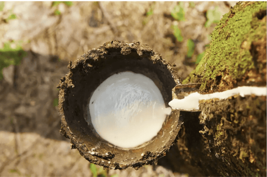 Globos Biodegradables: Una Alternativa Ecológica y Sostenible - NAROSA SWEET PARTY