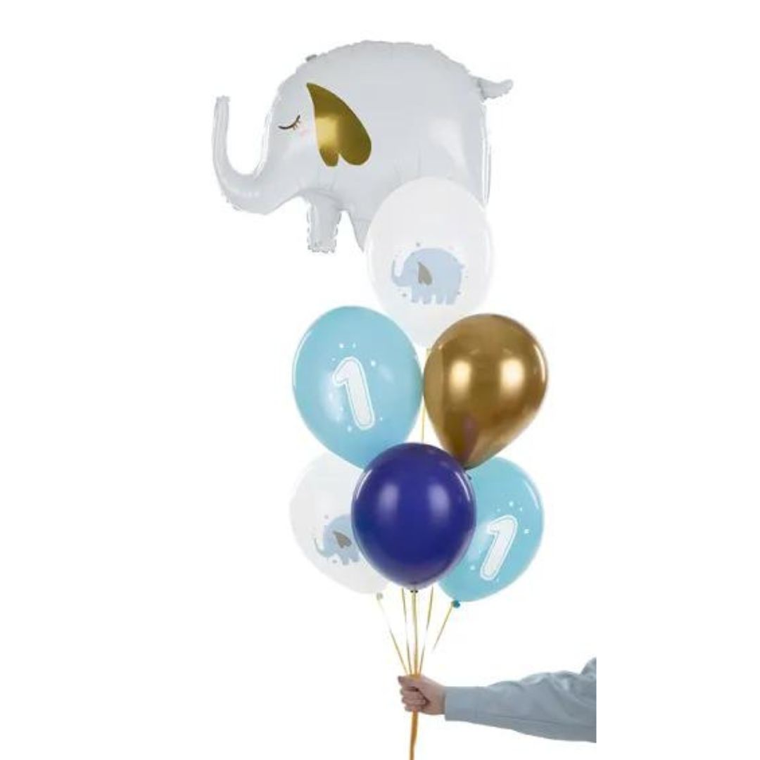 Biodegradable Balloons 1 Year Pastel Color