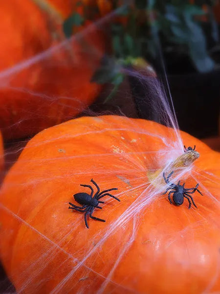 Araña Negra de Plástico