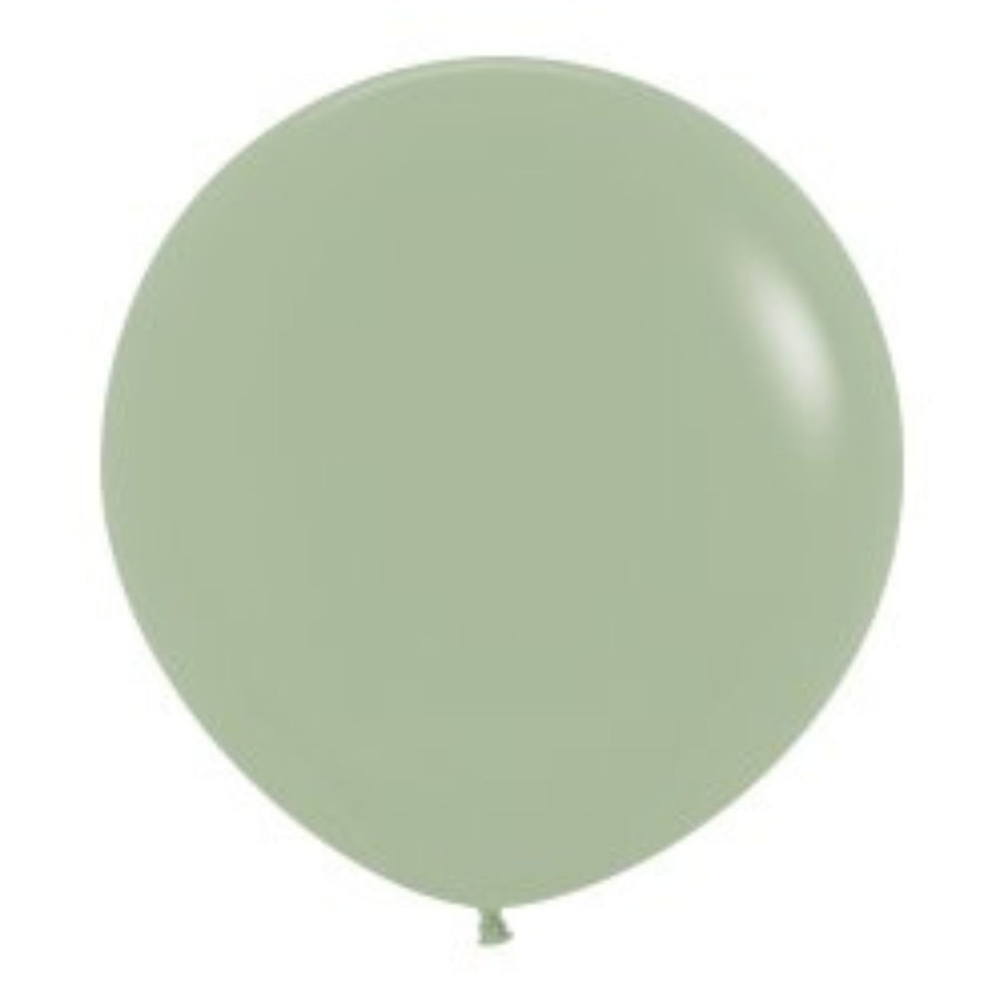 Globo Látex R24 Básico Fashion 60 cm - Biodegradable