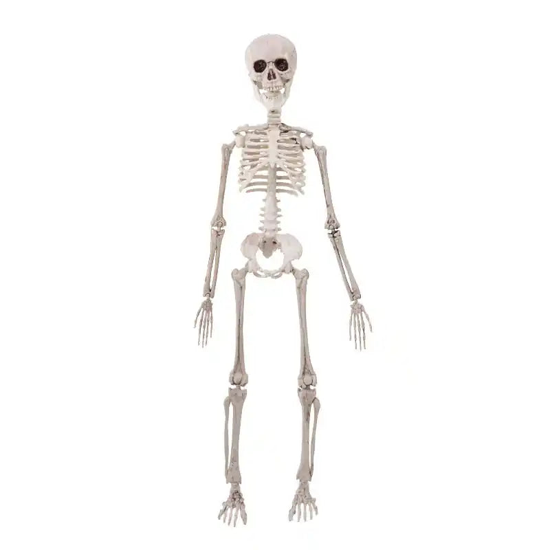Esqueleto colgante Halloween, 50 cm - Narosa Sweet Party Barcelona