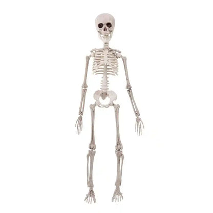 Esqueleto colgante Halloween, 50 cm - Narosa Sweet Party Barcelona